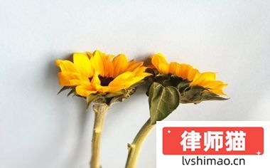 儿子车祸赔偿父母得多少比例(图1)